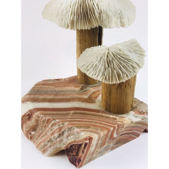 Vintage Banded Stone Marble Two Mushroom White Sculpture Primitive Wood Coral Ar - Picture 2 of 12